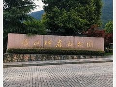 -铁山坪森林公园