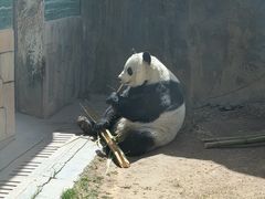 -青藏高原野生动物园