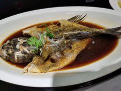 -丰收日(五角场店)