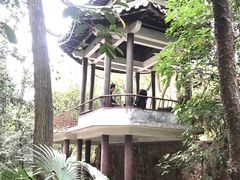 -瀛洲公园