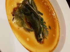-逸林轩中餐厅(中信泰富朱家角锦江酒店)