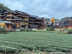 -程阳八寨景区