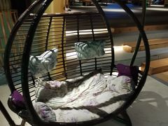 -东吴水韵(吴中店)