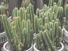 -KKV(深圳宏发大仟里店)