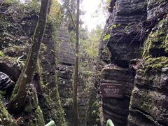 -梭布垭石林景区