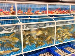 -台山侨雅海鲜粥底火锅(台山侨雅花苑店)