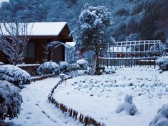 -宁波余姚老柿林山居度假村