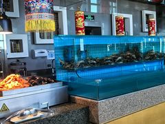 -视界美食自助餐厅·石家庄希尔顿酒店