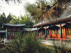 -宣武艺园