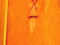 -干老四雅鱼饭店(滨江西路店)