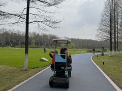 -宜兴龙背山森林公园