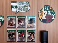 -星巴克(上海长宁来福士1F店)