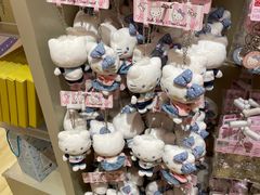-安吉Hello Kitty乐园