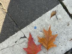 -新紫霞养生·影院足道·SPA(金山区店)