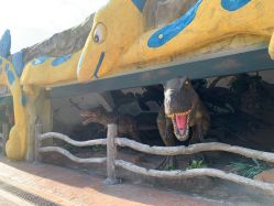 -宝燕乐园(闵行旗舰店)