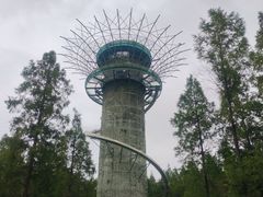 -黄海国家森林公园