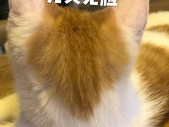 -平行世界·猫咖(首经贸店)