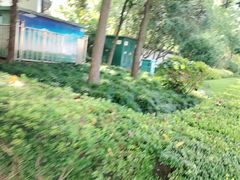-嘉定紫藤园