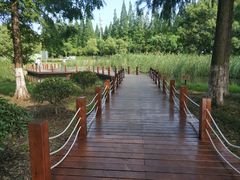 -太湖湖滨国家湿地公园-停车场