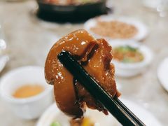 -东山羊庄(八卦岭店)