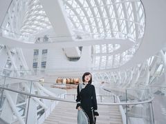 -凤凰中心