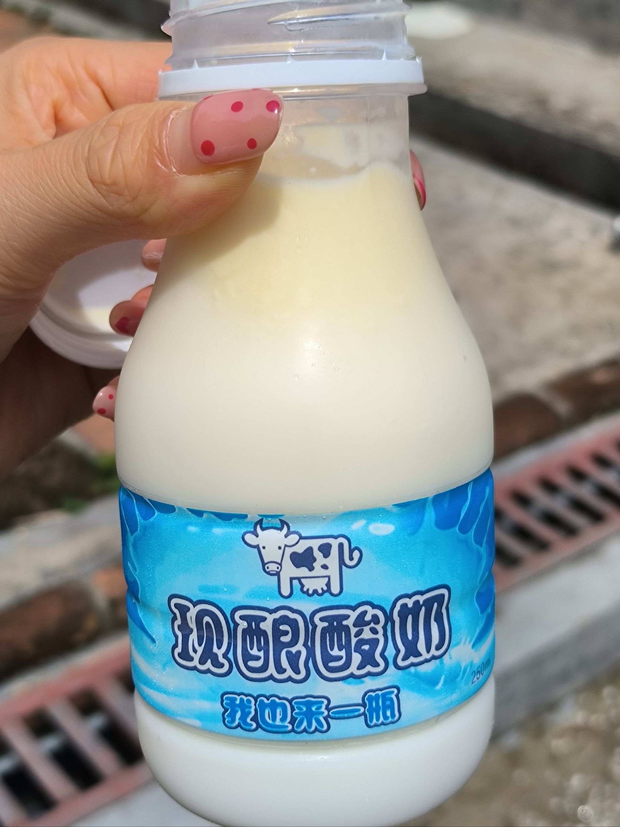 谁懂啊!这个酸奶,真的贼好吃!