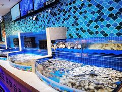 -乔哥铭洋海鲜自助(皇城恒隆广场店)