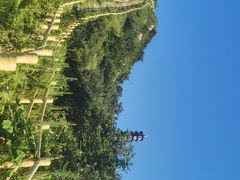 -冶父山国家森林公园