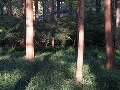 -杭州西湖风景名胜区-章太炎纪念馆