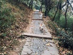 -雨花胜境