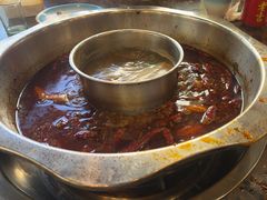 -金鼎雪山牦牛杂火锅(理县总店)