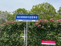 -武汉紫薇都市田园