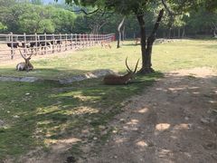 -西安秦岭野生动物园