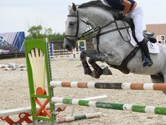 -松声马术俱乐部