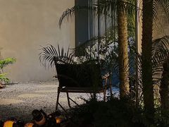 -J Create城市露营咖啡·简餐·宠物(上海动物园店)