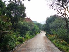 -杭州开元森泊度假乐园