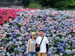 -苏州上方山国家森林公园