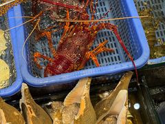 -吴记富苑(朝阳店)