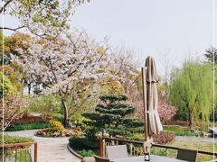 -嘉北郊野公园