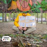 父母放手，宝贝独立｜尤尼森林野外拓展