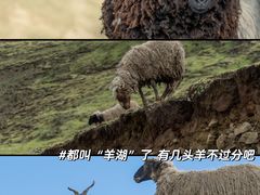 -羊卓雍措