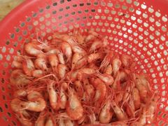 -清真餐馆(仙营路店)