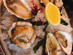 -db Bistro & Oyster Bar by Daniel Boulud(滨海湾金沙店)