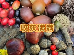 -国家植物园南园