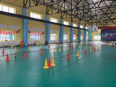 -长春乐奇平衡车儿童体能运动中心