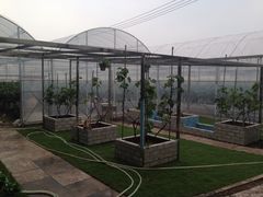 iphone_upload_pic-美家乐农庄·露营·团建(大治路店)
