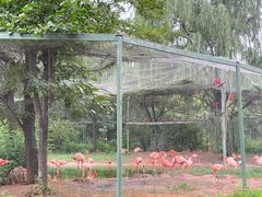 -石家庄市动物园