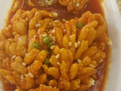 松鼠桂鱼-大鸭梨(天通西苑店)