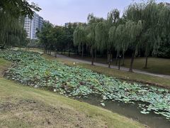 -Riverside河畔少儿足球培训(前滩店)