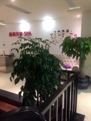 -苑苑发型设计